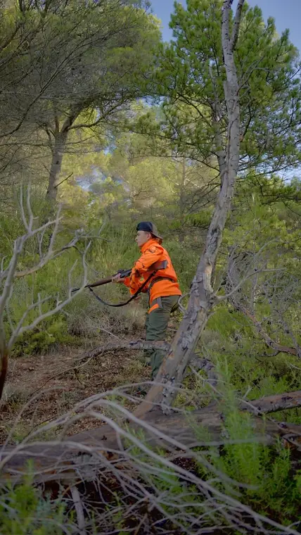 Reportage en forêt