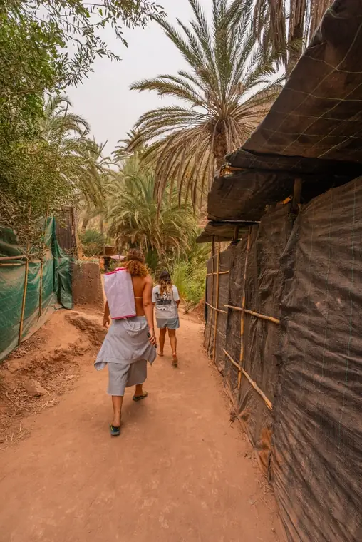 Ruelle de palmeraie